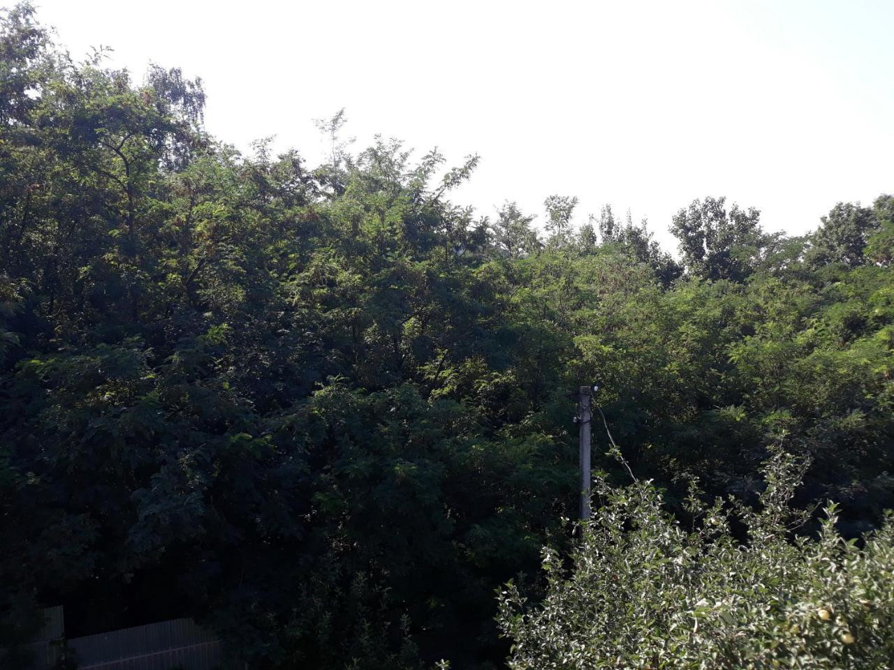 Котедж "Лісовий Затишок" Glubokoye Exteriör bild