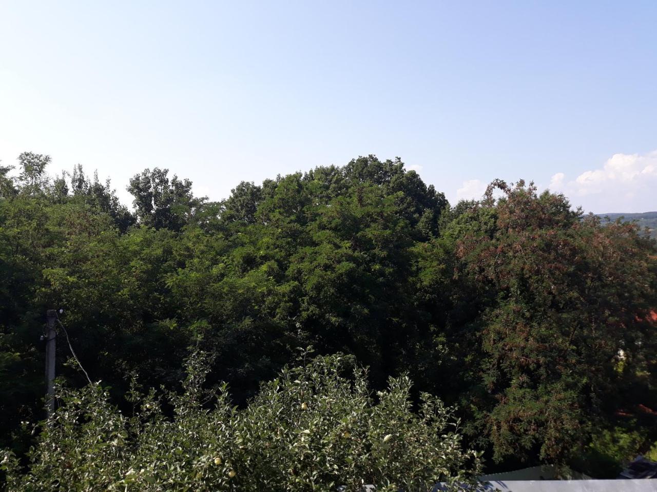 Котедж "Лісовий Затишок" Glubokoye Exteriör bild